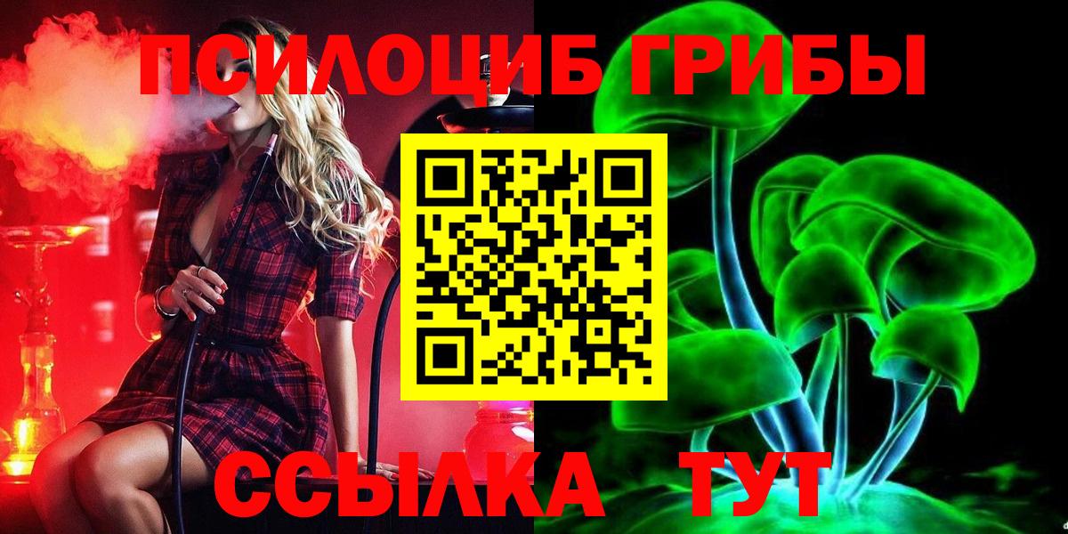 Псилоцибиновые грибы мицелий Знаменск