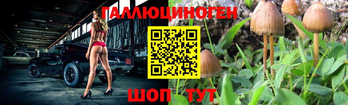 цены наркотик  Псилоцибиновые грибы Psilocybe  Вход с VPN  Знаменск 